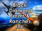 Black Diamond Farms & Ranches